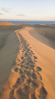GC-Dunas de Maspalomas sunset 2026-142.jpg